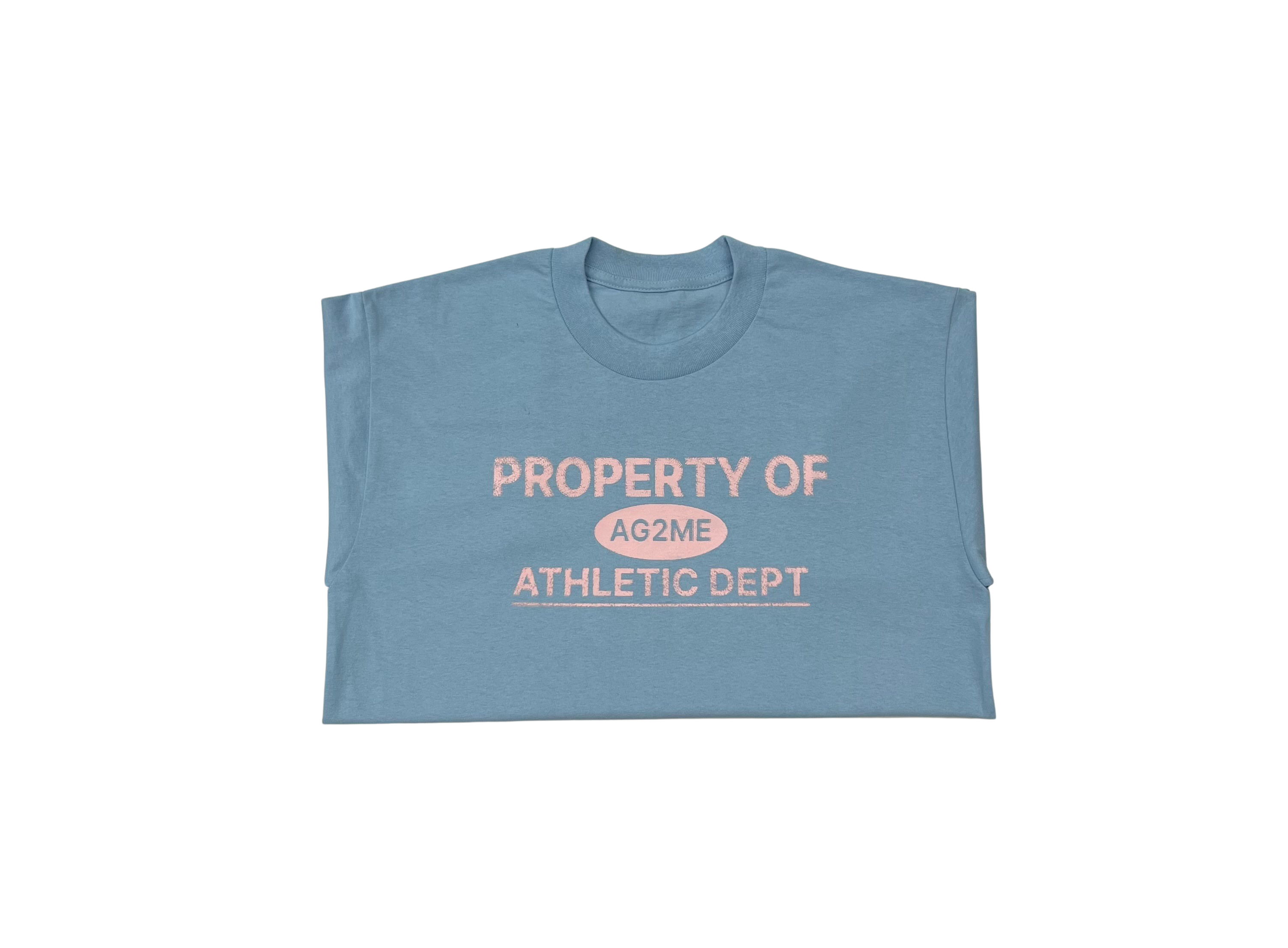 Property of AG2ME Tee (Multiple)